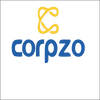 What is asset Reconstruction Company - Corpzo Ventures Private Limited